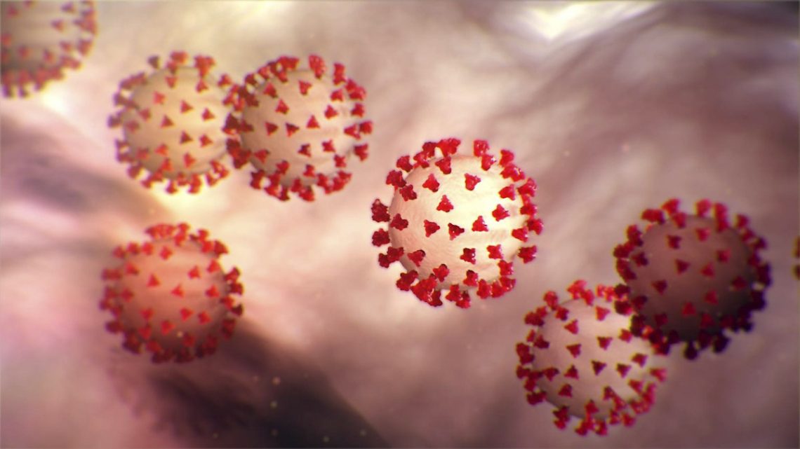 Bollettino Coronavirus, ecco i dati di oggi 6 novembre 2020 Bollettino Coronavirus, ecco i dati di oggi 6 novembre 2020