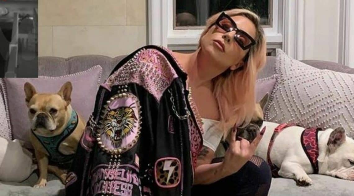 Lady Gaga sotto shock: rapiti e aggrediti i suoi cani (VIDEO) Lady Gaga sotto shock: rapiti e aggrediti i suoi cani (VIDEO)