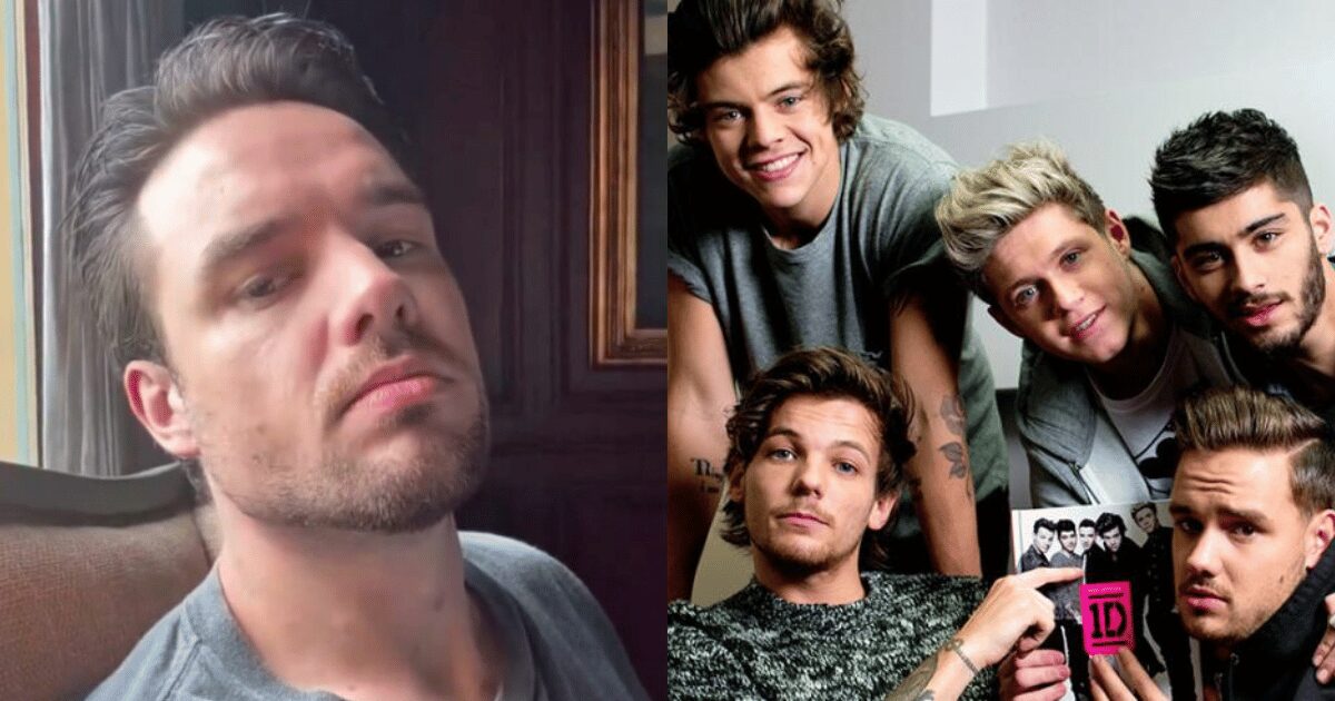 Morte Liam Payne, le commoventi parole di Louis, Zayn, Niall e Harry: “Ti Vogliamo Bene, Fratello”