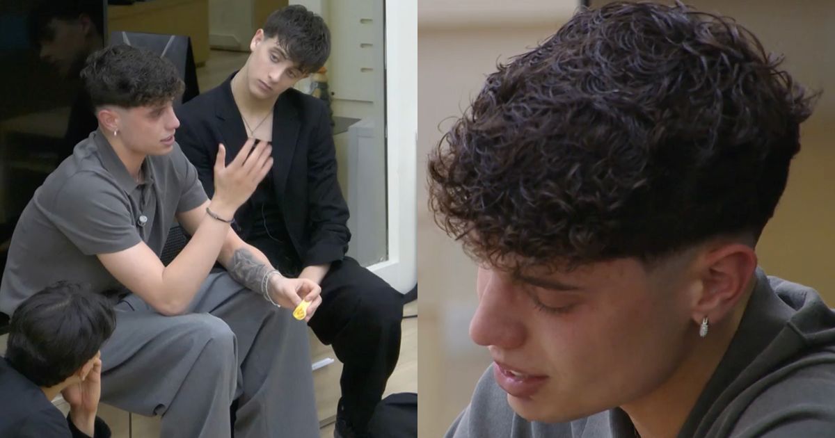 Amici 25